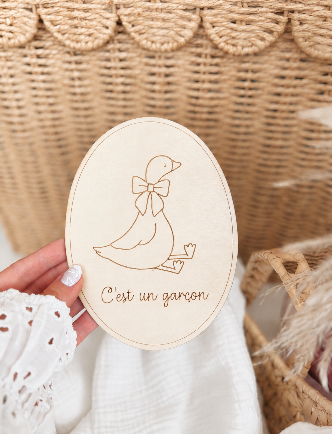 Pancarte fille ou garçon, ma petite oie